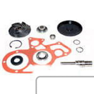 Zestaw naprawczy pompy wody 4222841M91 - Intertraktor