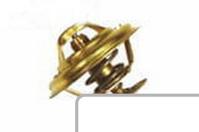 Termostat 4222845M1 - Intertraktor