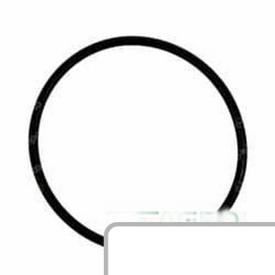 Oring 4222848M1 - Intertraktor