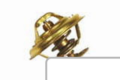 Termostat 4224624M1 - Intertraktor