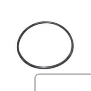 Oring Termostatu 4224755M1
