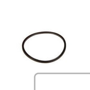 Oring 4300210M1