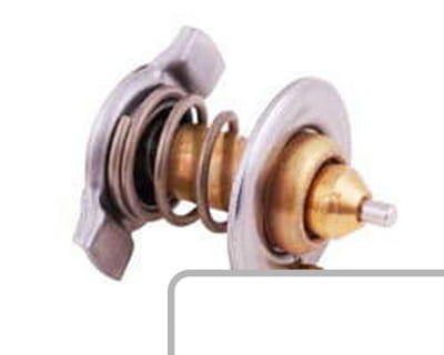 Wkład Termostatu 504221036 - Intertraktor
