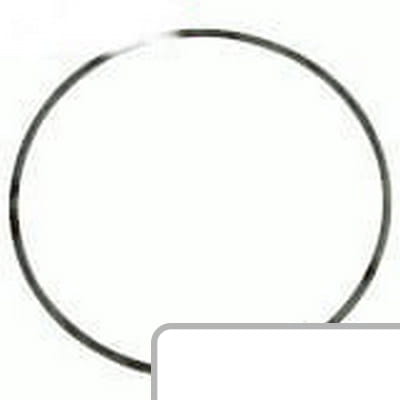 Oring 6000104508 - Intertraktor