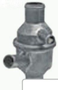 Termostat 6005000004