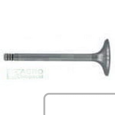 Zawór wydechowy 6005009610 - Intertraktor