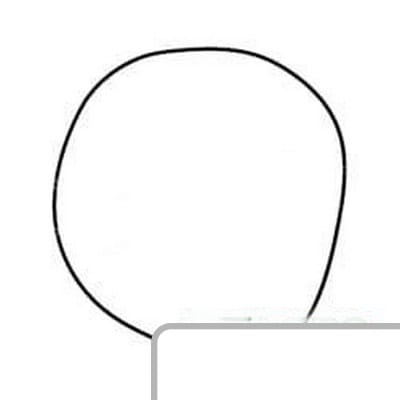 Oring 6005009866 - Intertraktor