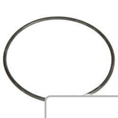 Oring 7700008731 - Intertraktor