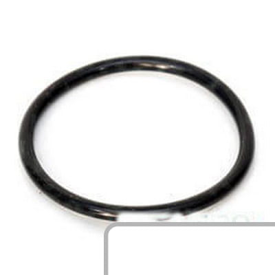 Oring 7700009018 - Intertraktor
