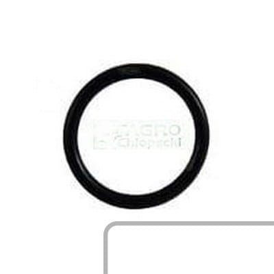 ORING 7700022656 - Intertraktor