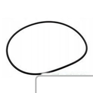 Oring 7700047391