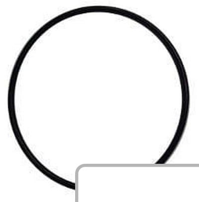 Oring 770008731 - Intertraktor