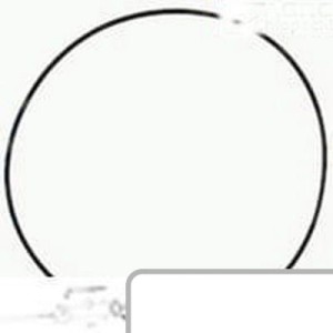 Oring 81279C1