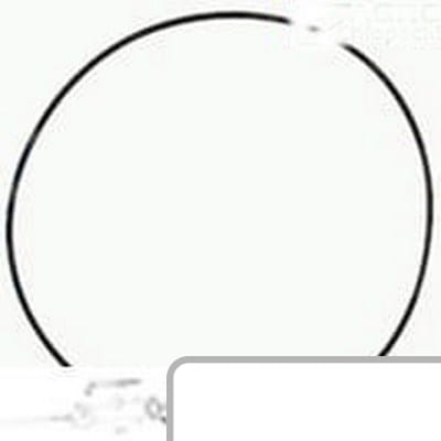 Oring 81279C1 - Intertraktor