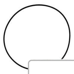 Oring 81658C1