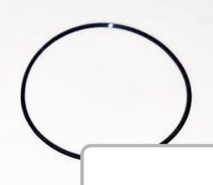 Oring 81719C1