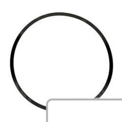 Oring 81869804 - Intertraktor