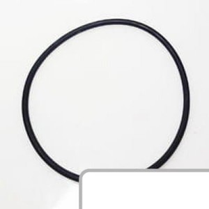 Oring 82091C1