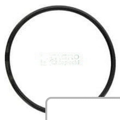 Oring 83911411 - Intertraktor