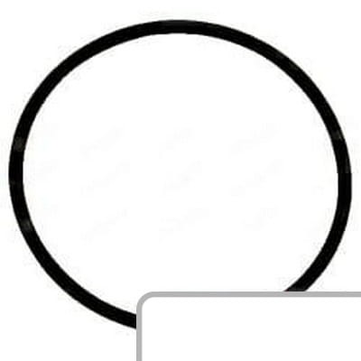Oring 83957929 - Intertraktor