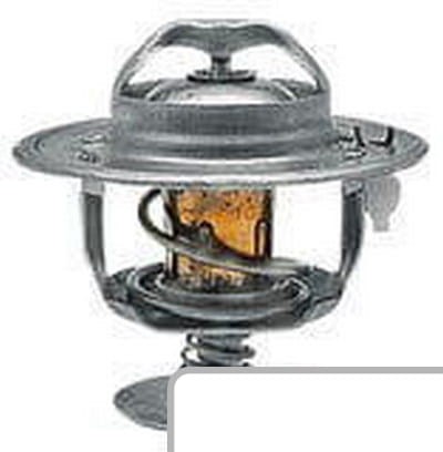 Termostat 87800842 - Intertraktor