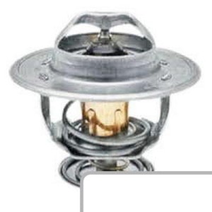 Termostat 87800842