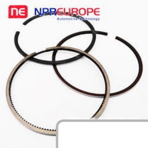 Pierścienie NPR 89360300