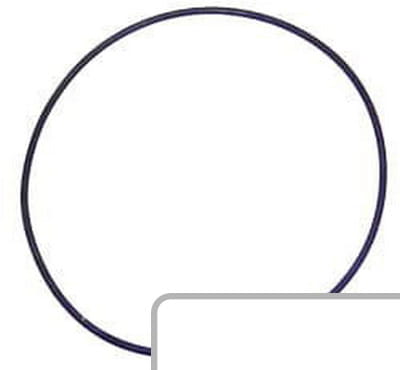 Oring 93137C1 - Intertraktor