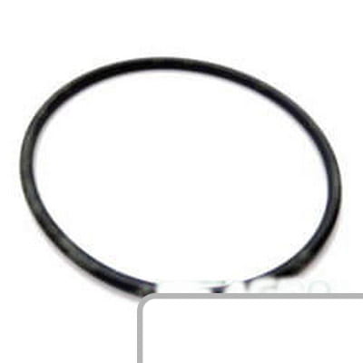 Oring 9823571 - Intertraktor