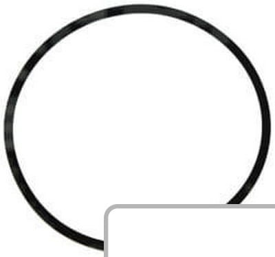 Oring 9840590 - Intertraktor