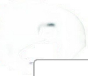 Obudowa lampy (prawa) CE13748