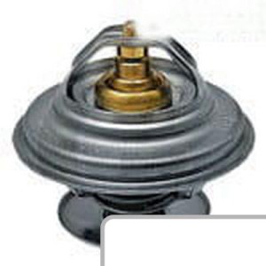 Termostat F119200050040