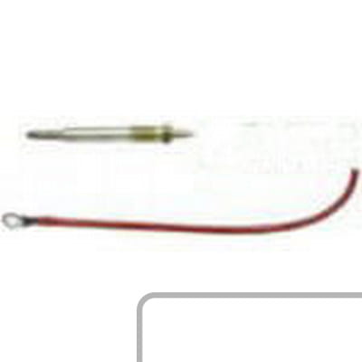 Świeca żarowa F119200170010 - Intertraktor