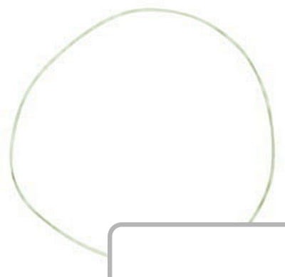 Oring F170200210030 - Intertraktor