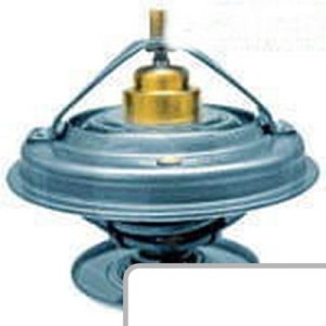 Termostat F824200050060