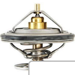 Termostat F824200050060
