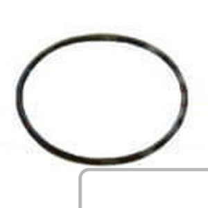 Oring H35244