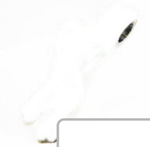 Ramie podnośnika L164895
