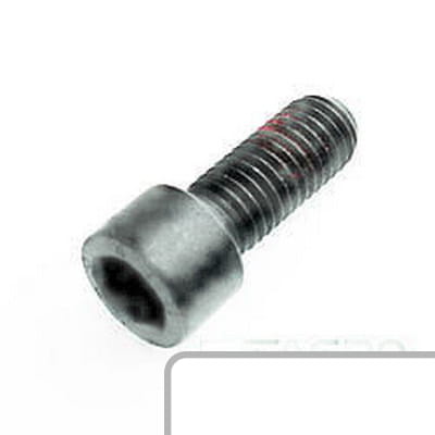 Śruba L166394 - Intertraktor