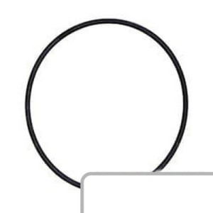 Oring L33257