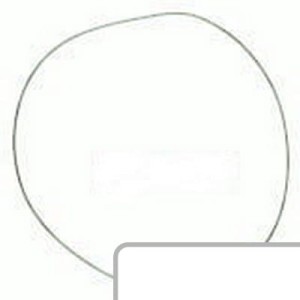 Oring L39942