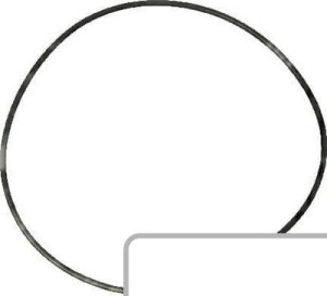 Oring L40317