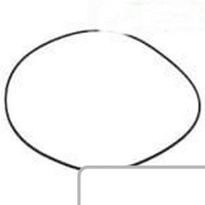 Oring R122850