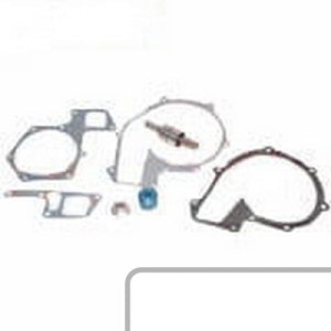 Zestaw naprawczy pompy wody R46561