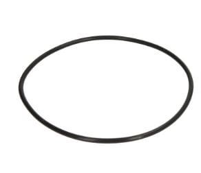 Oring 01181178 - Intertraktor