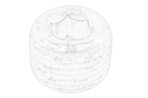Pompa cieczy chłodzącej 2431154