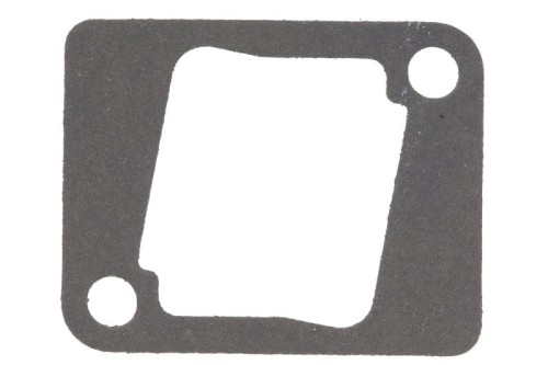 Uszczelka kolektora dolotowego R133893-FP - Intertraktor