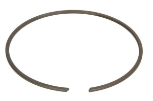 Pierścień zabezpieczający 0730513596ZF