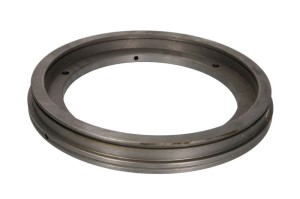 Tłoczek zacisku hamulcowego 12-AG019
