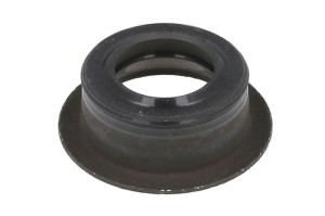 Oring uszczelniający przewodu cieczy chłodzącej R123226-FP